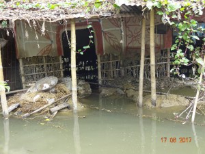 洪水で下半分が流されてしまった家屋の様子（バングラデシュディナジプール県ショドル郡東モハンプール）