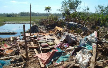 高潮などによる浸水被害が発生し、家屋が倒壊