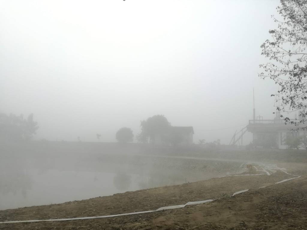 朝8時半頃。インド国境近いネパール平野部は冬の朝、霧に覆われる。